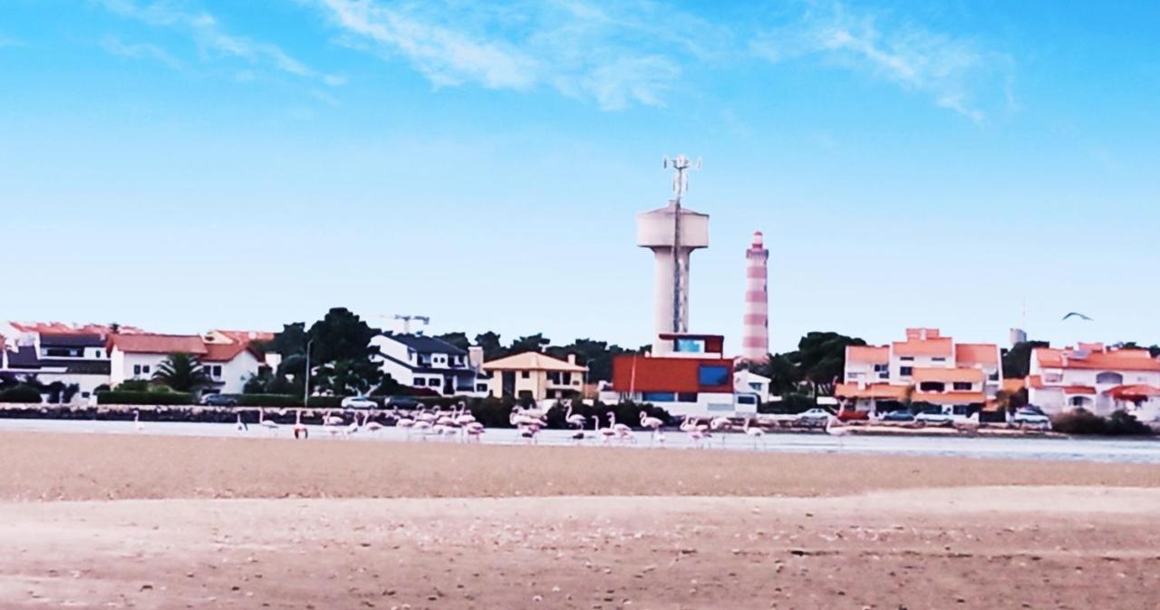 Aveiro, Ria E Arte Apartment Екстериор снимка